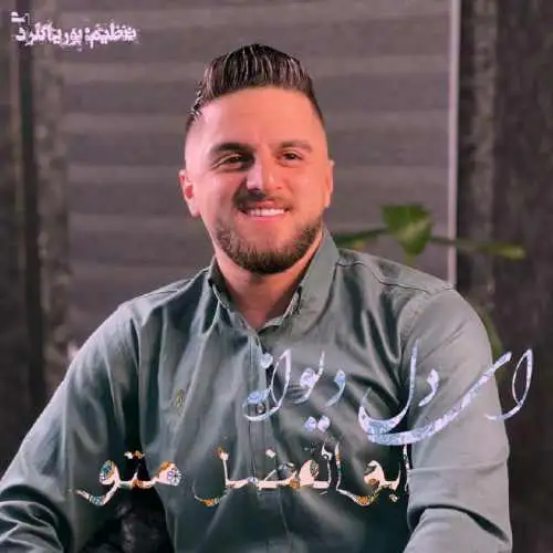 دل دیوانه